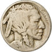 Coin, United States, Buffalo Nickel, 5 Cents, 1924, U.S. Mint, Philadelphia