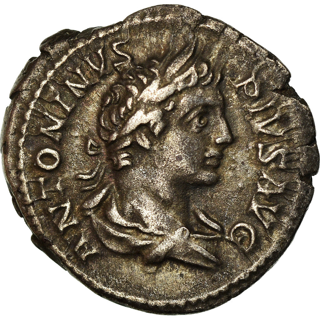 Coin, Caracalla, Denarius, 204, Roma, AU(50-53), Copper, RIC:144b