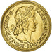 France, Medal, Louis XIII, Les rois de France, Louis XIII, History, 1982