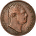 Coin, Great Britain, William IV, Farthing, 1831, VF(30-35), Copper, KM:705