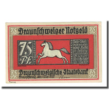Banknote, Germany, Braunschweig, 75 Pfennig, paysage 1, 1921, 1921-05-01
