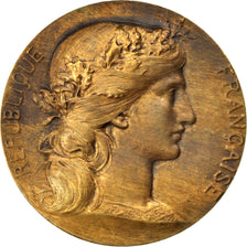 FRANCE, Medicine, French Third Republic, Medal, EF(40-45), Dupuis.D, Bronze,...