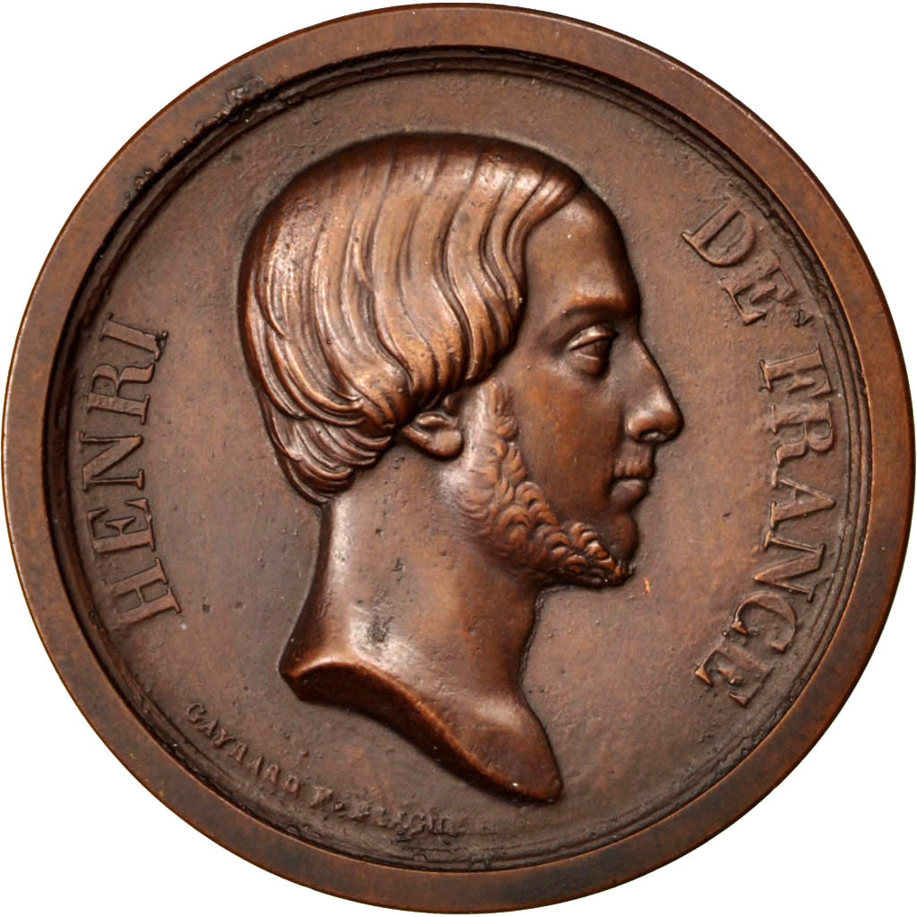 Henri de France, Comte de Chambord, Médaille