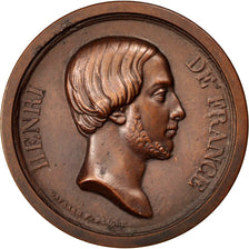 Henri de France, Comte de Chambord, Médaille
