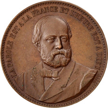 Henri de France, Comte de Chambord, Médaille