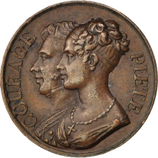 Naissance de Henri V, Médaille