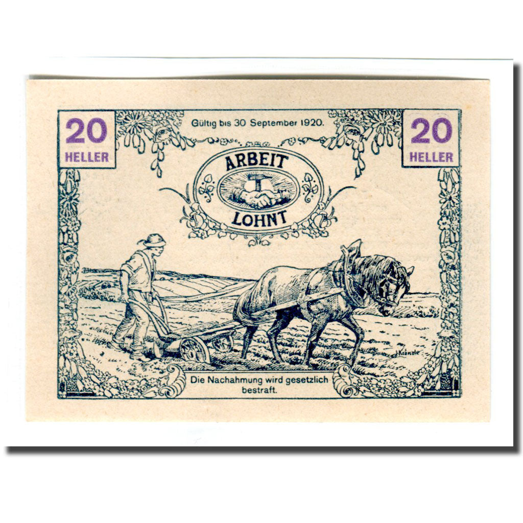 Banconote, Austria, Tausend Blumen, 20 Heller, personnage 1, 1920, SPL