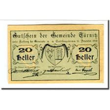 Biljet, Oostenrijk, Türnitz N.Ö. Gemeinde, 20 Heller, N.D, 1920, SPL