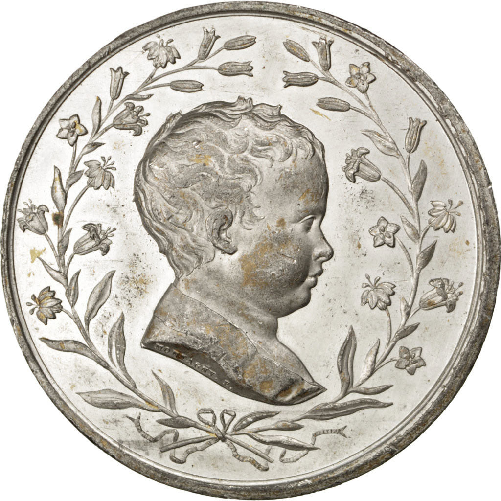 France, Medal, Louis XVIII, Politics, Society, War, Montagny, EF(40-45), Tin