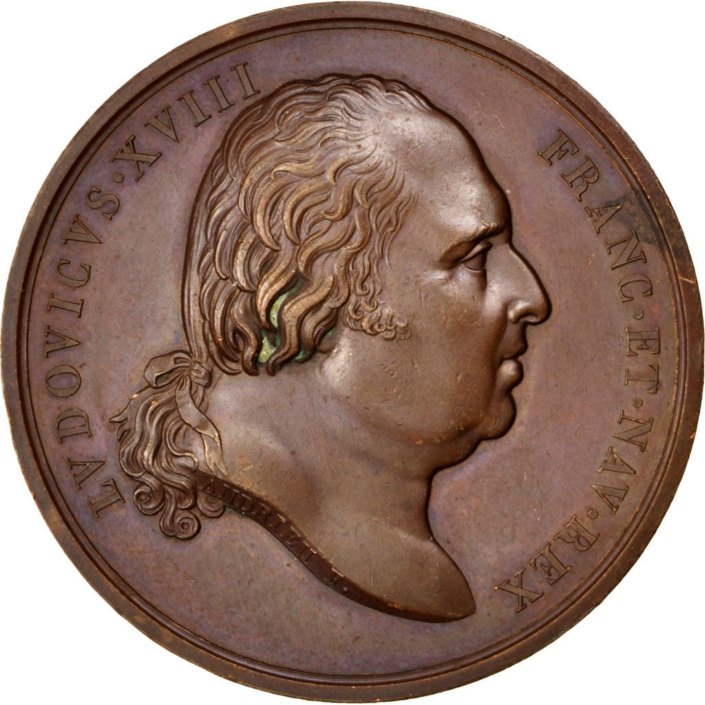 FRANCE, Politics, Society, War, Louis XVIII, Medal, AU(50-53), Andrieu, Bronze,.