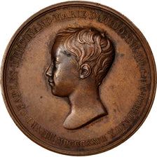 Duc de bordeaux et la Duchesse de Berry, Médaille