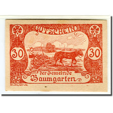 Billete, Austria, Baumgarten, 30 Heller, Texte 2, 1920, 1920-06-13, SC, Mehl:78c
