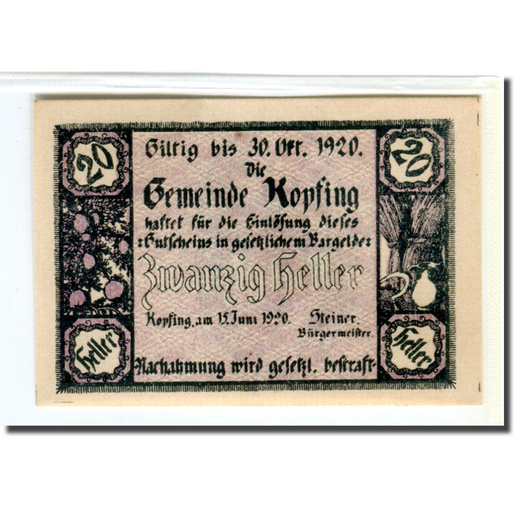 Banconote, Austria, Kopfing, 20 Heller, valeur faciale, 1920, 1920-06-15, SPL