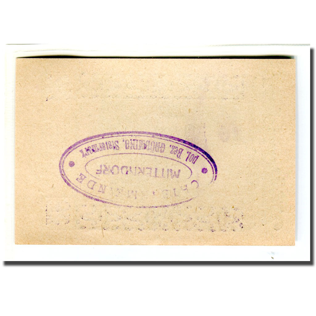 Geldschein, Österreich, Mitterndorf, 30 Heller, N.D, 1920, UNZ-, Mehl:621IIb1