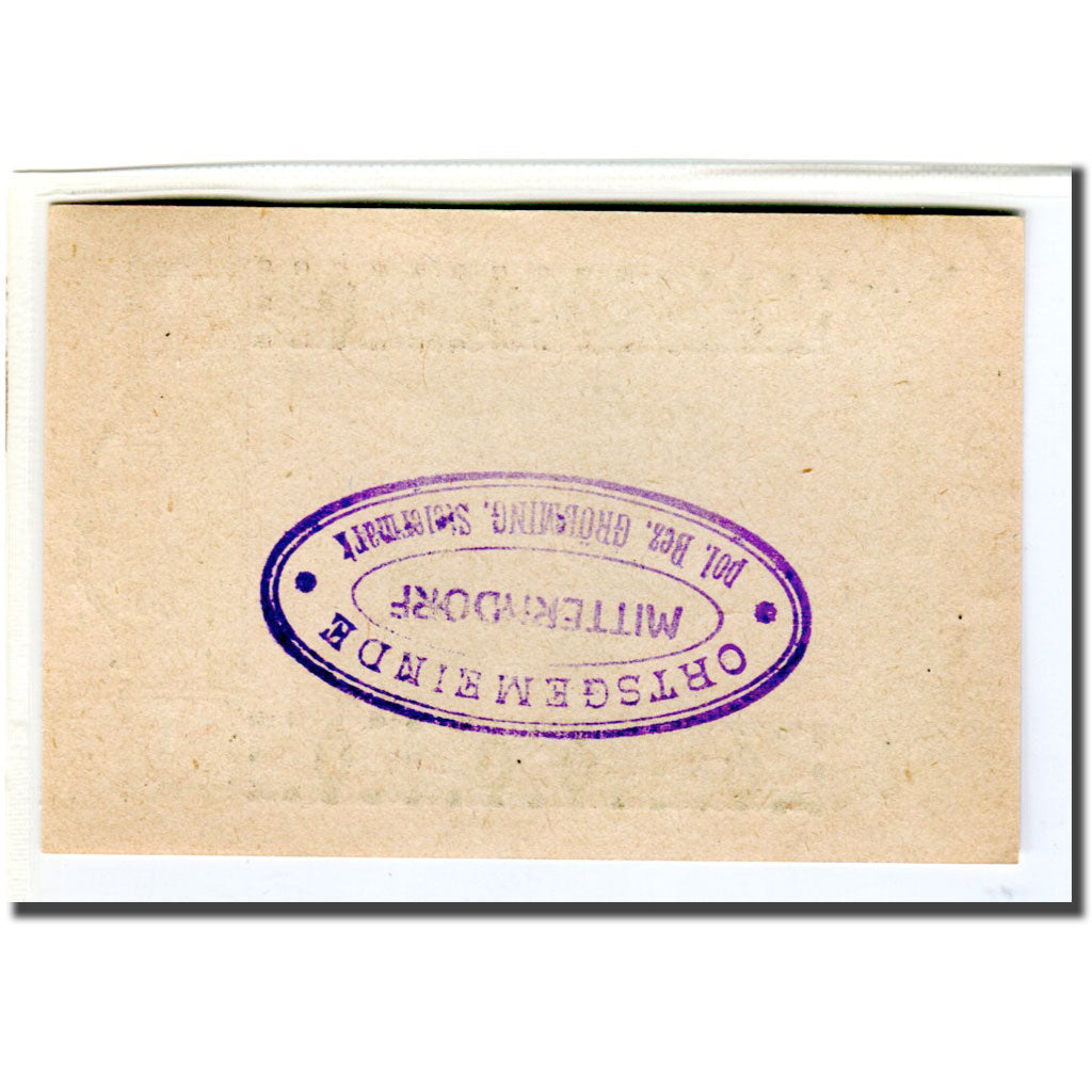Banknote, Austria, Mitterndorf, 20 Heller, N.D, 1920, UNC(63), Mehl:621IId1