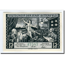 Biljet, Duitsland, Bitterfeld Stadt, 75 Pfennig, paysage, 1921, 1921-12-01, SPL