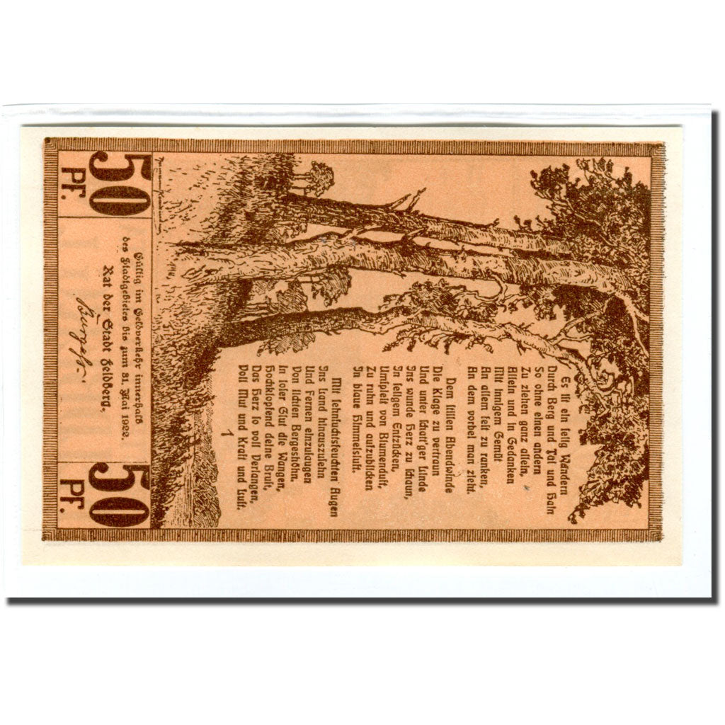 Geldschein, Deutschland, Feldberg, 50 Pfennig, arbre, 1922, UNZ-, Mehl:361.1