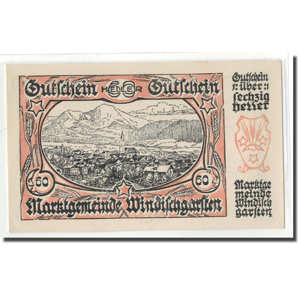 Biljet, Oostenrijk, Windischgarsten, 60 Heller, Texte 2, 1920, 1920-06-09, SPL