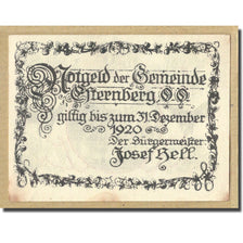 Nota, França, Esternberg, 20 Heller, paysage, 1920, UNC(63), Mehl:189