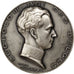 Belgique, Medal, Politics, Society, War, Turin, TTB+, Argent