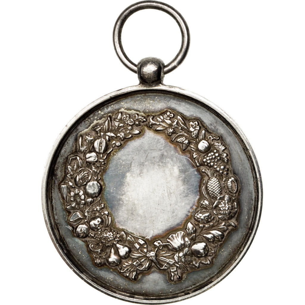 FRANCE, Flora, French Third Republic, Medal, MS(60-62), Silver, 39, 18.90