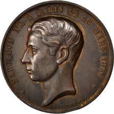 FRANCE, Politics, Society, War, French Third Republic, Medal, EF(40-45),...