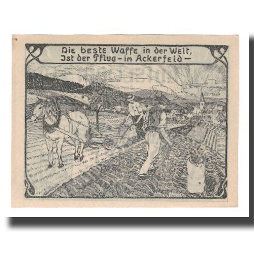 Billete, Austria, Geboltskirchen O.Ö. Gemeinde, 20 Heller, personnage, 1920