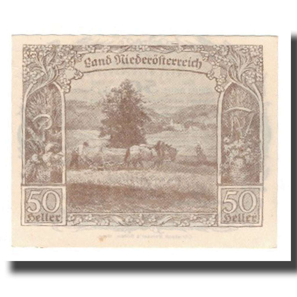 Geldschein, Österreich, Niederösterreich N.Ö. Land, 50 Heller, Texte, 1920