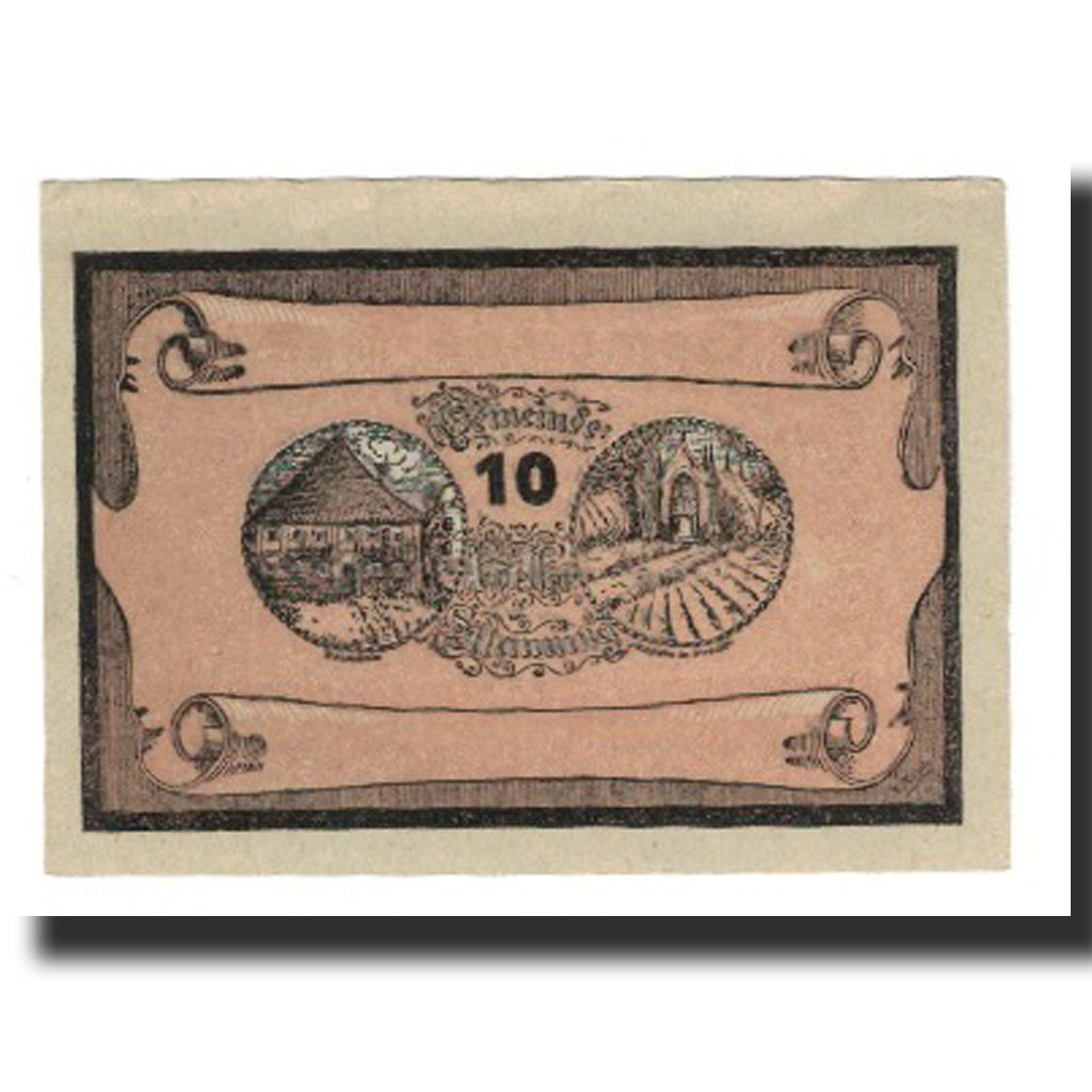 Billet, Autriche, Manning, 10 Heller, Texte, 1920, 1920-05-22, SUP, Mehl:FS 578