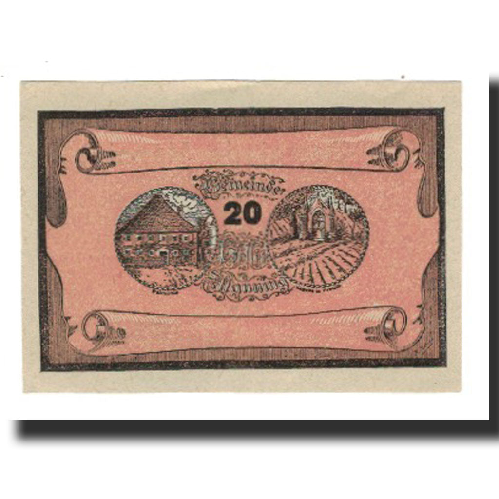 Biljet, Oostenrijk, Manning, 20 Heller, texte 1, 1920, 1920-05-22, SUP, Mehl:FS