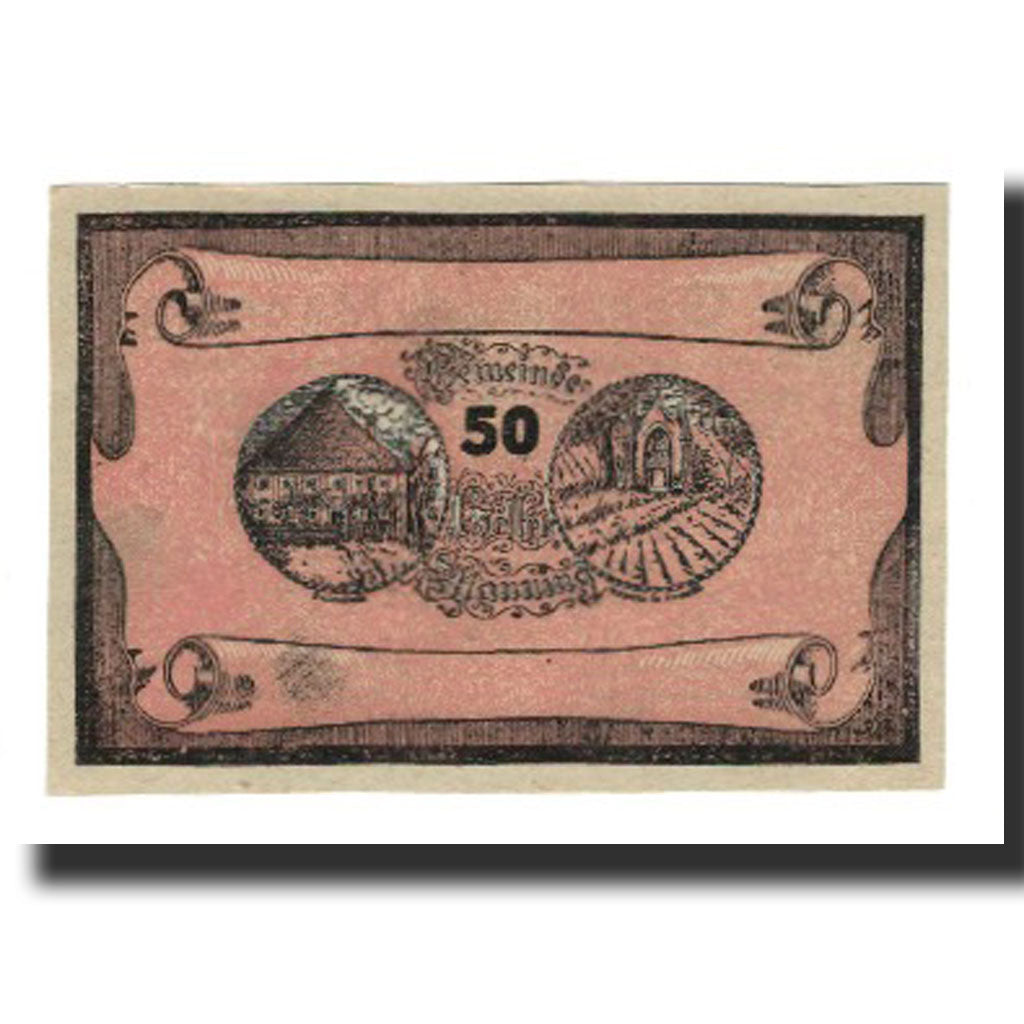 Billet, Autriche, Manning, 50 Heller, Texte 2, 1920, 1920-05-22, SUP, Mehl:FS