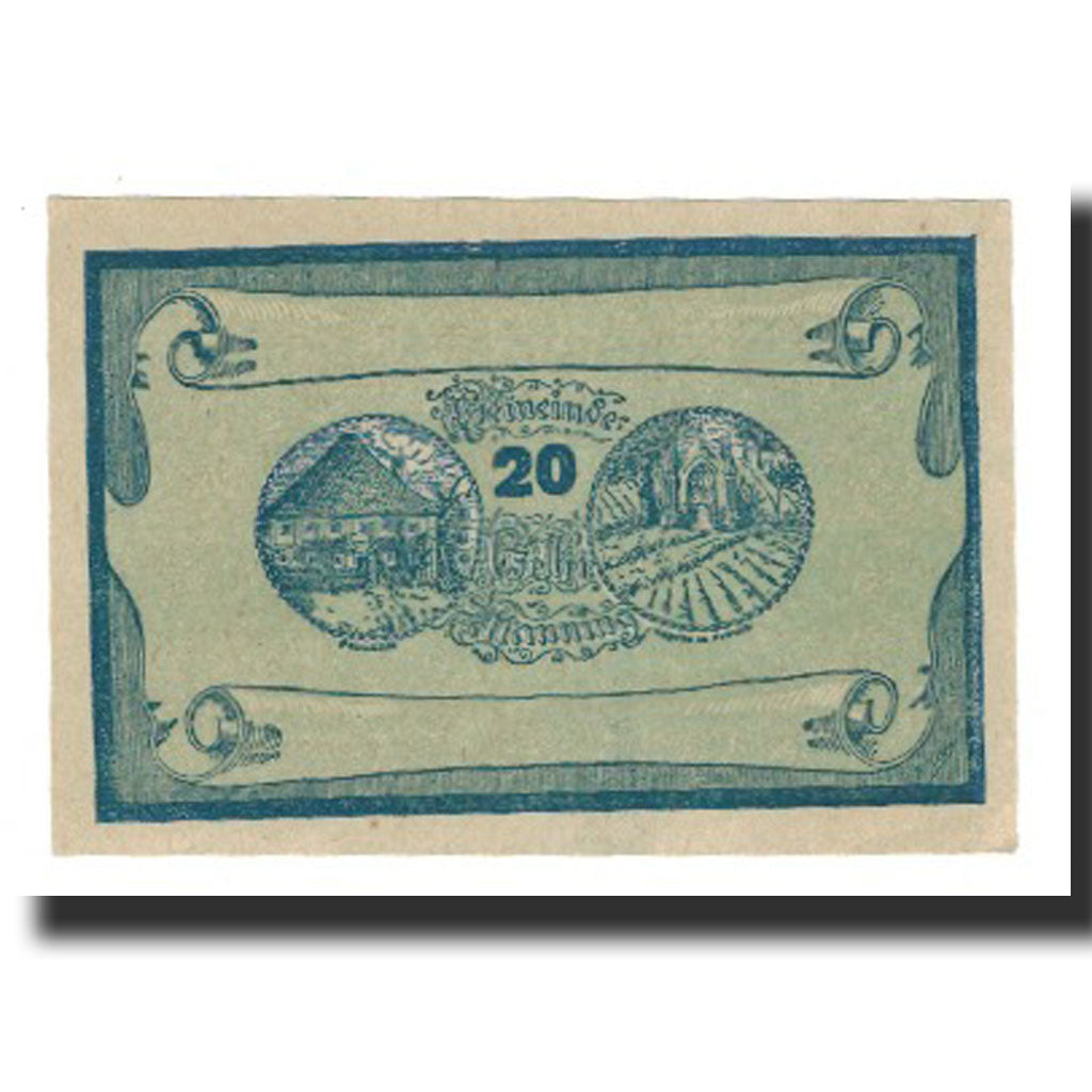 Billete, Austria, Manning, 20 Heller, Texte 4, 1920, 1920-05-22, EBC, Mehl:FS