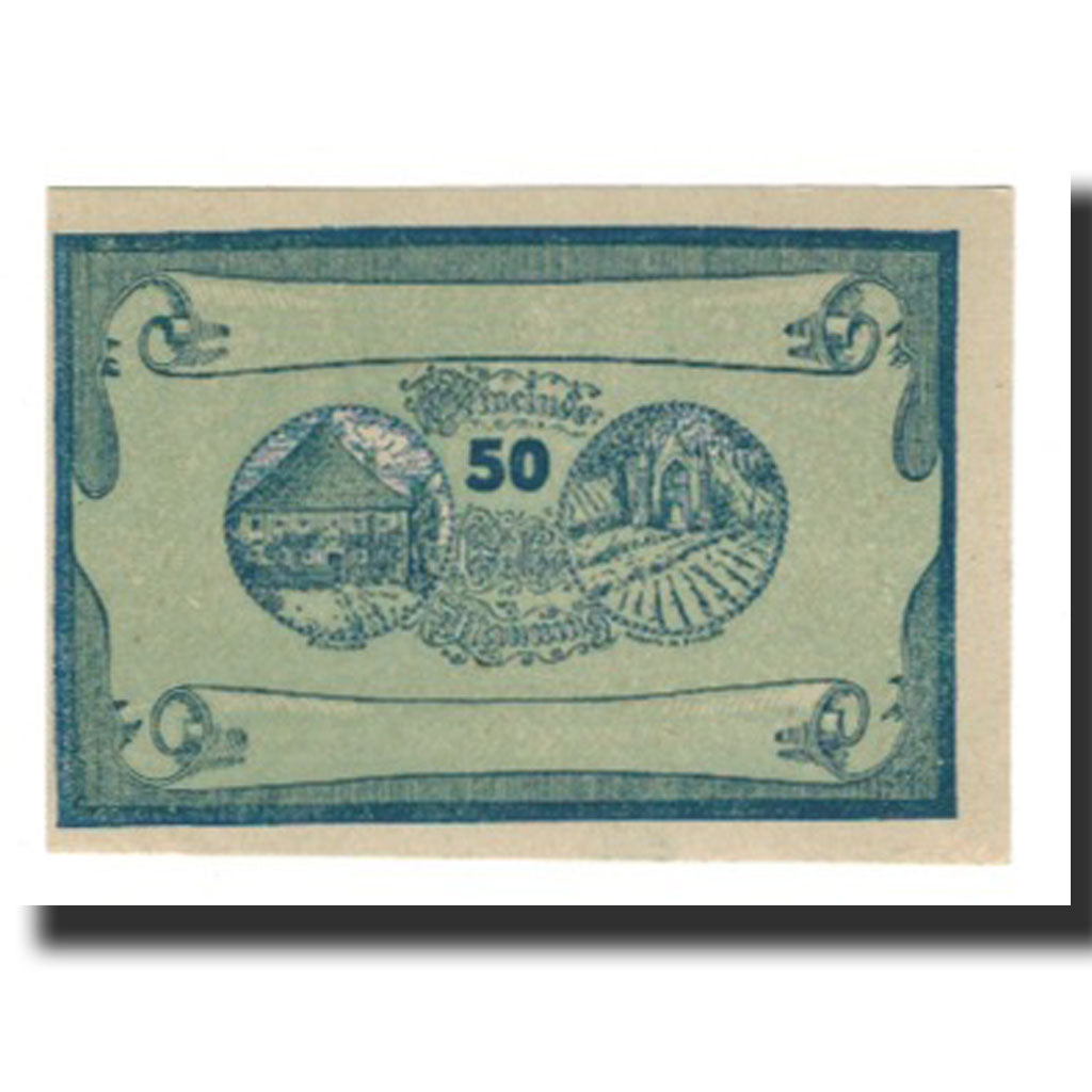 Billet, Autriche, Manning, 50 Heller, Texte  5, 1920, 1920-05-22, SUP, Mehl:FS