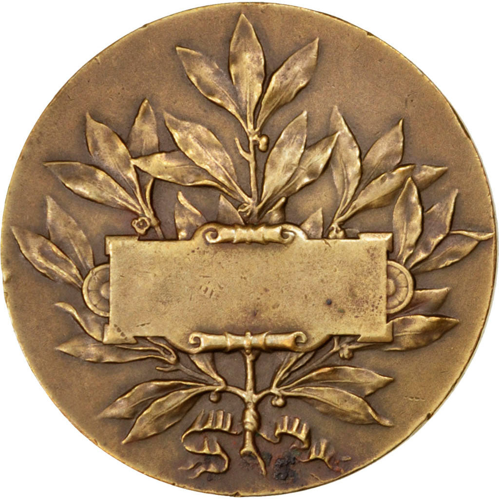France, Medal, French Third Republic, Politics, Society, War, AU(55-58), Bronze