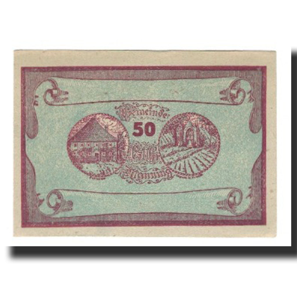 Billet, Autriche, Manning, 50 Heller, Texte 8, 1920, 1920-05-22, SUP, Mehl:FS