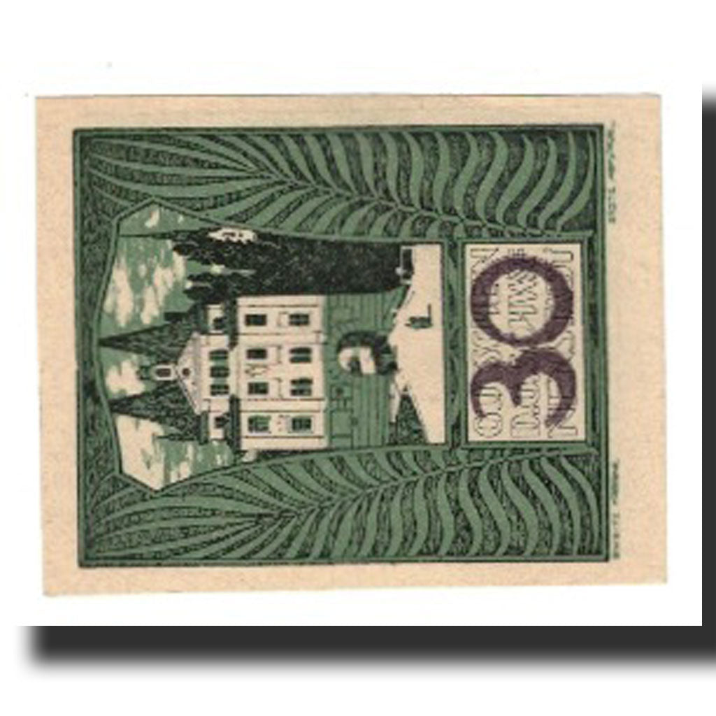 Banknote, Austria, Schwanenstadt O.Ö. Stadtgemeinde, 30 Heller, texte 1, 1920