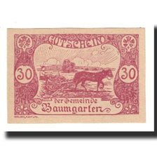 Geldschein, Österreich, Baumgarten, 30 Heller, Texte 4, 1921, 1921-02-28, UNZ