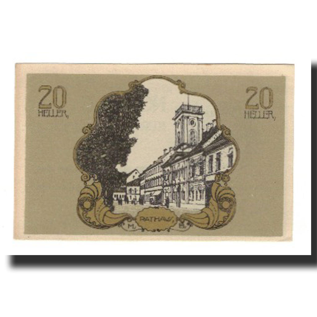 Billete, Austria, Bad Hall O.Ö. Gemeinde, 20 Heller, Signature 1, 1920