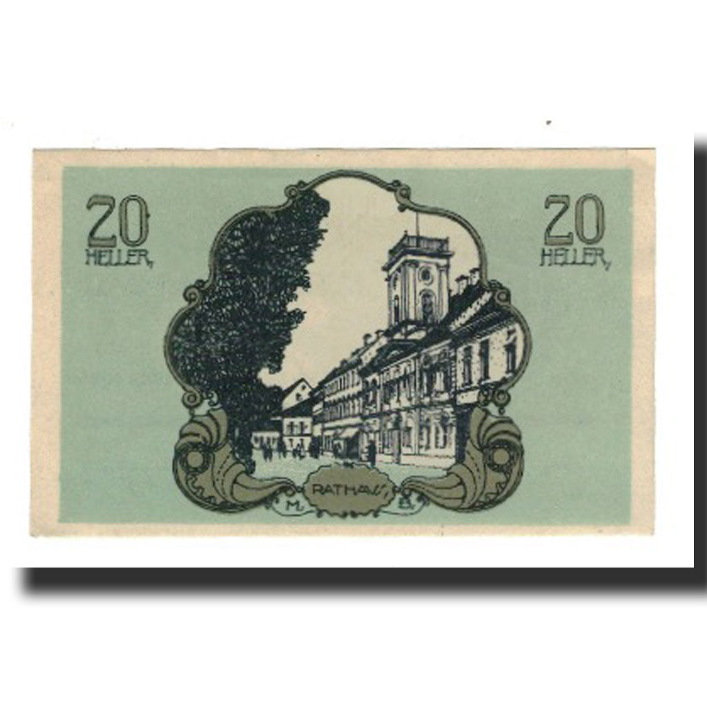 Biljet, Oostenrijk, Bad Hall O.Ö. Gemeinde, 20 Heller, Signature 2, 1920