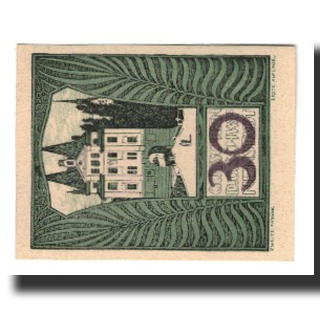Biljet, Oostenrijk, Schwanenstadt, 30 Heller, texte 1, 1920, 1920-12-31, SUP