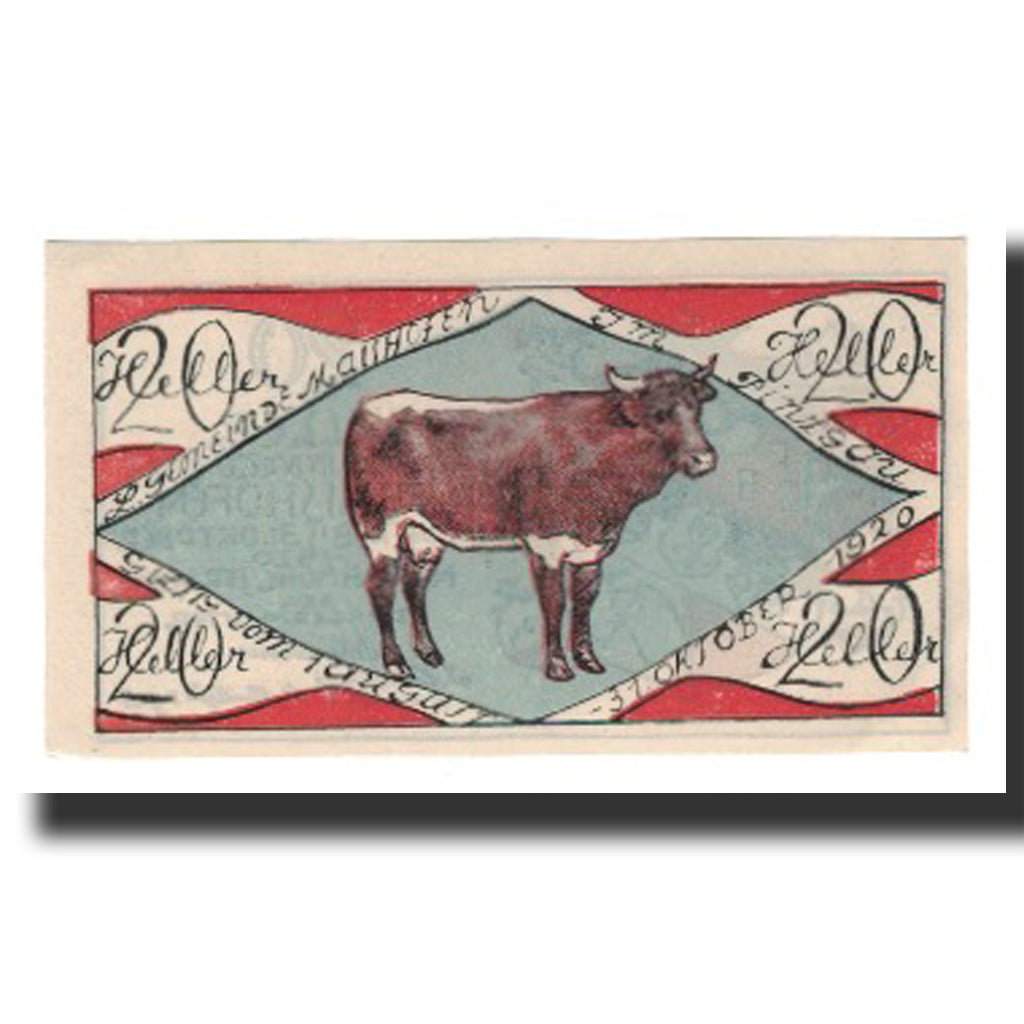 Banknot, Austria, Maishofen, 20 Heller, vache, 1920, 1920-10-31, AU(55-58)
