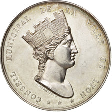 France, Medal, French Third Republic, Politics, Society, War, AU(55-58), Silver