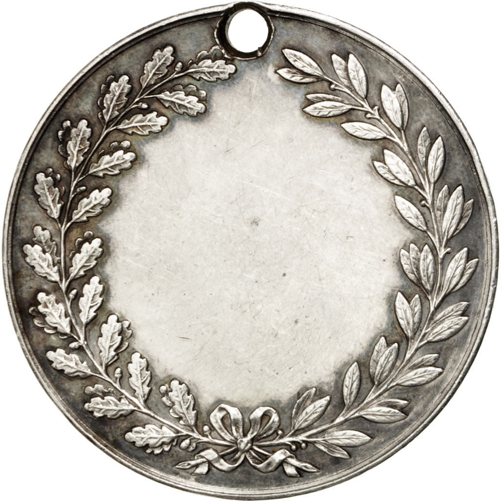 Francia, Medal, French Third Republic, Politics, Society, War, BB+, Argento