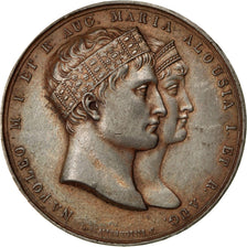 FRANCE, Politics, Society, War, First French Empire, Medal, AU(50-53), Tin, 42,.