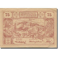 Banknote, Austria, Mitterbach, 75 Heller, Texte 2, 1920, 1920-12-31, AU(55-58)