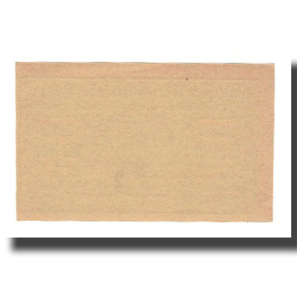 Nota, Áustria, Türnitz N.Ö. Gemeinde, 20 Heller, N.D, 1920, 1920-12-31