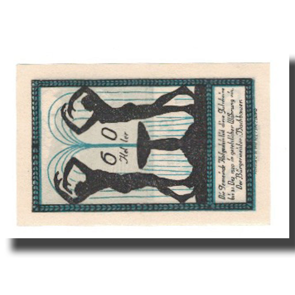 Banknot, Austria, Hofgastein Sbg Gemeinde, 60 Heller, fontaine, 1920