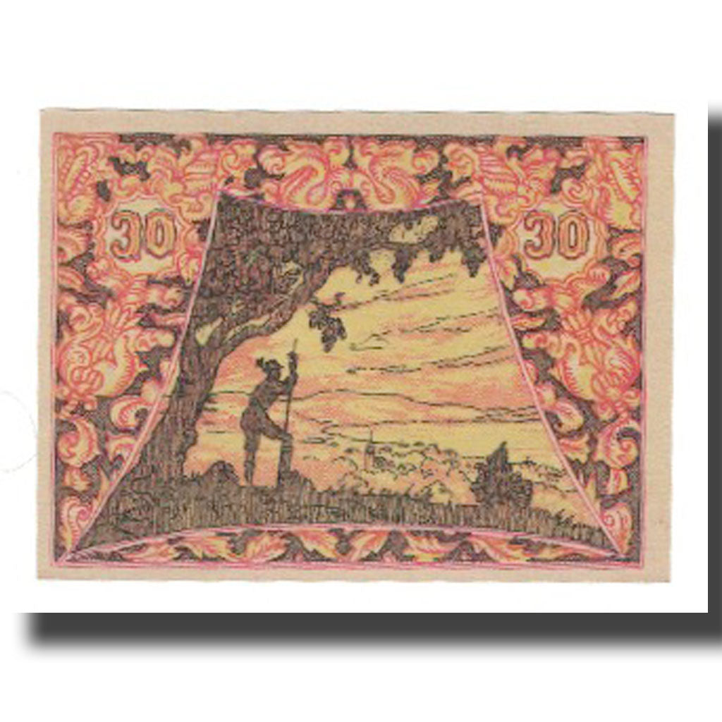 Banknote, Austria, Seewalchen am Attersee O.Ö. Gemeinde, 30 Heller, paysage 1