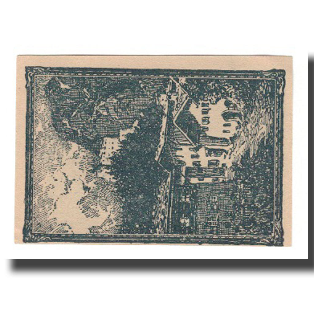 Nota, Áustria, Werfen Sbg. Marktgemeinde, 50 Heller, paysage, 1920, 1920-12-31