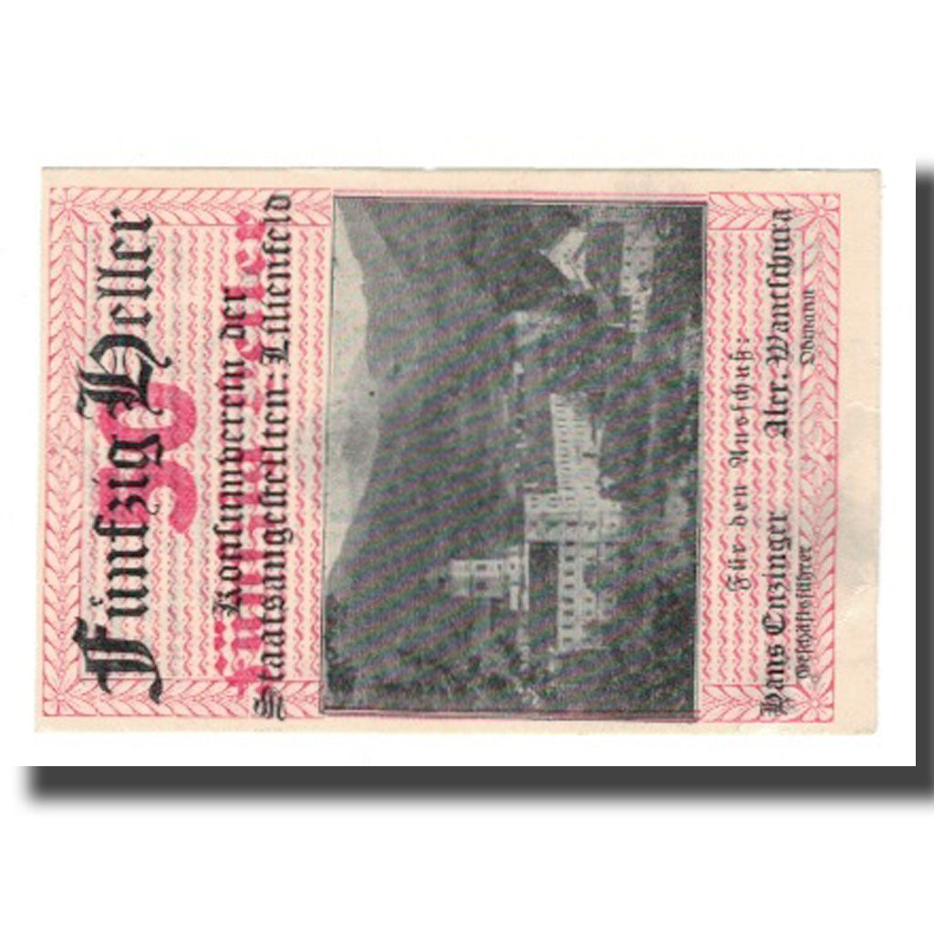 Banknote, Austria, Lilienfeld N.Ö. Prv. Stiftskelleramt, 50 Heller, personnage
